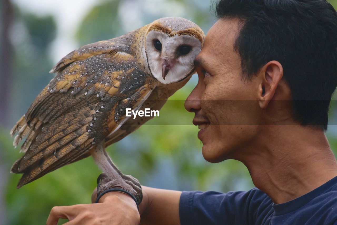 Close-up of man holding owl