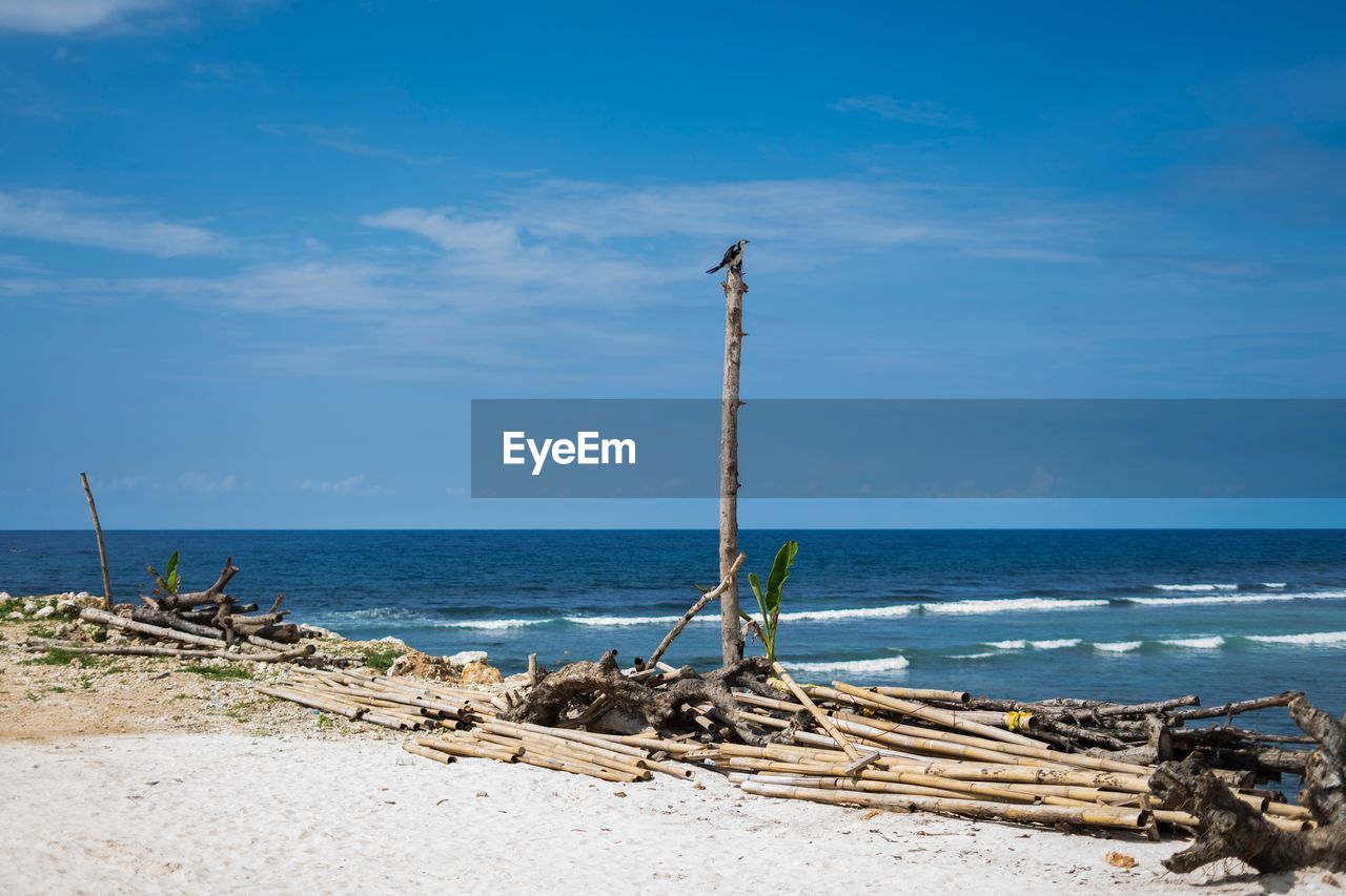 Scenic view of beach against sky