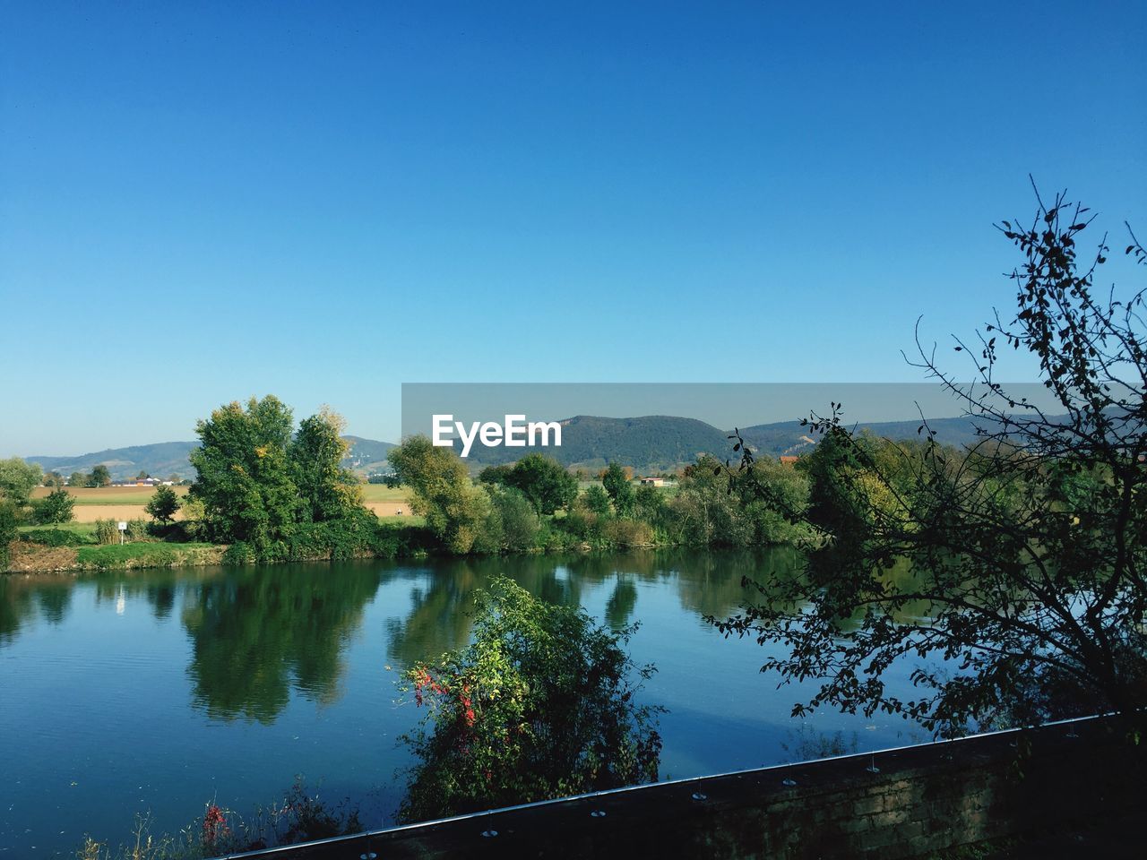 Scenic view of lake by trees against clear blue sky