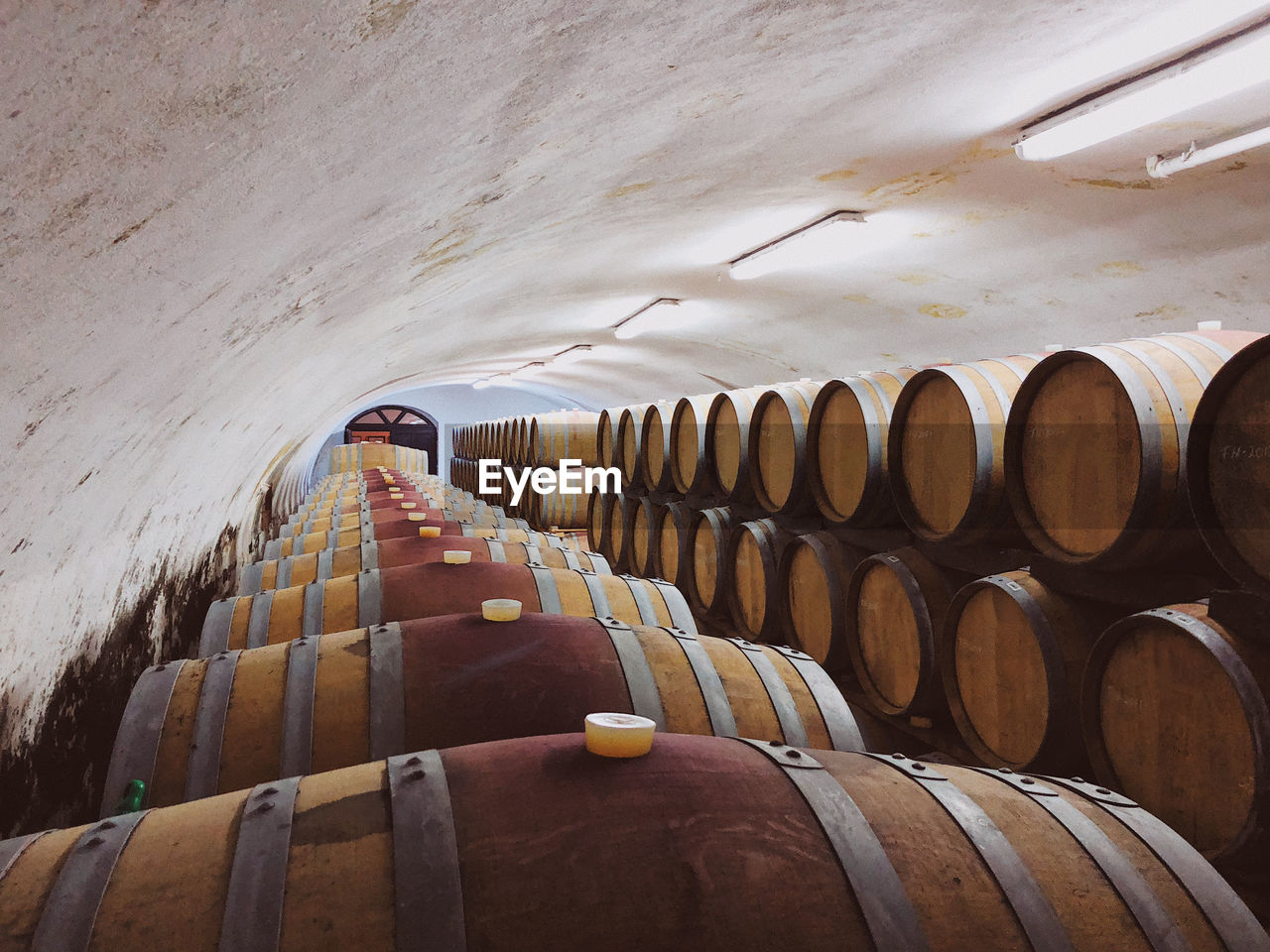 Row of wine barrels in wine cellar 