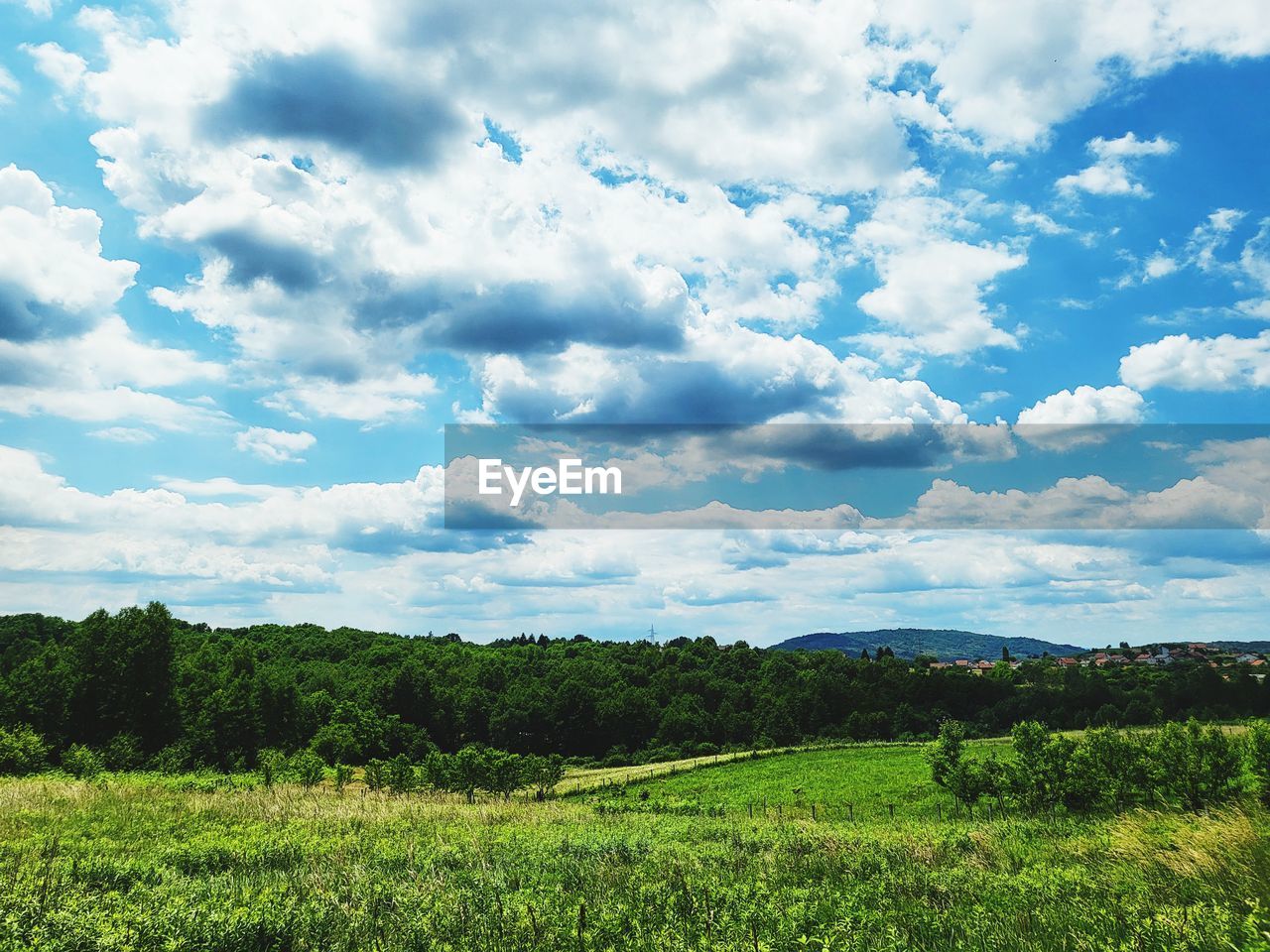 sky, landscape, environment, cloud, plant, grassland, land, nature, field, scenics - nature, grass, natural environment, plain, beauty in nature, meadow, horizon, pasture, tree, rural scene, green, agriculture, no people, prairie, tranquility, rural area, hill, growth, tranquil scene, outdoors, blue, day, crop, food and drink, non-urban scene, social issues, food, farm, freshness, travel, summer, forest, environmental conservation