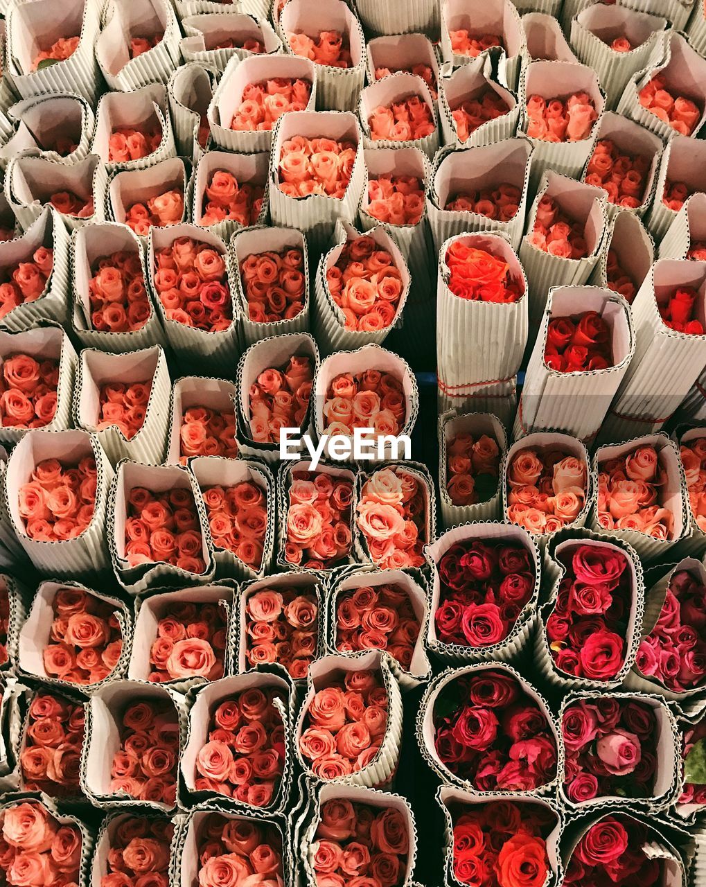 Full frame shot of flowers for sale in market