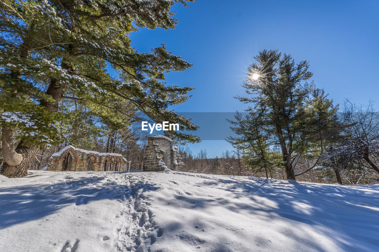 bare trees on snow covered landscape against clear blue sky