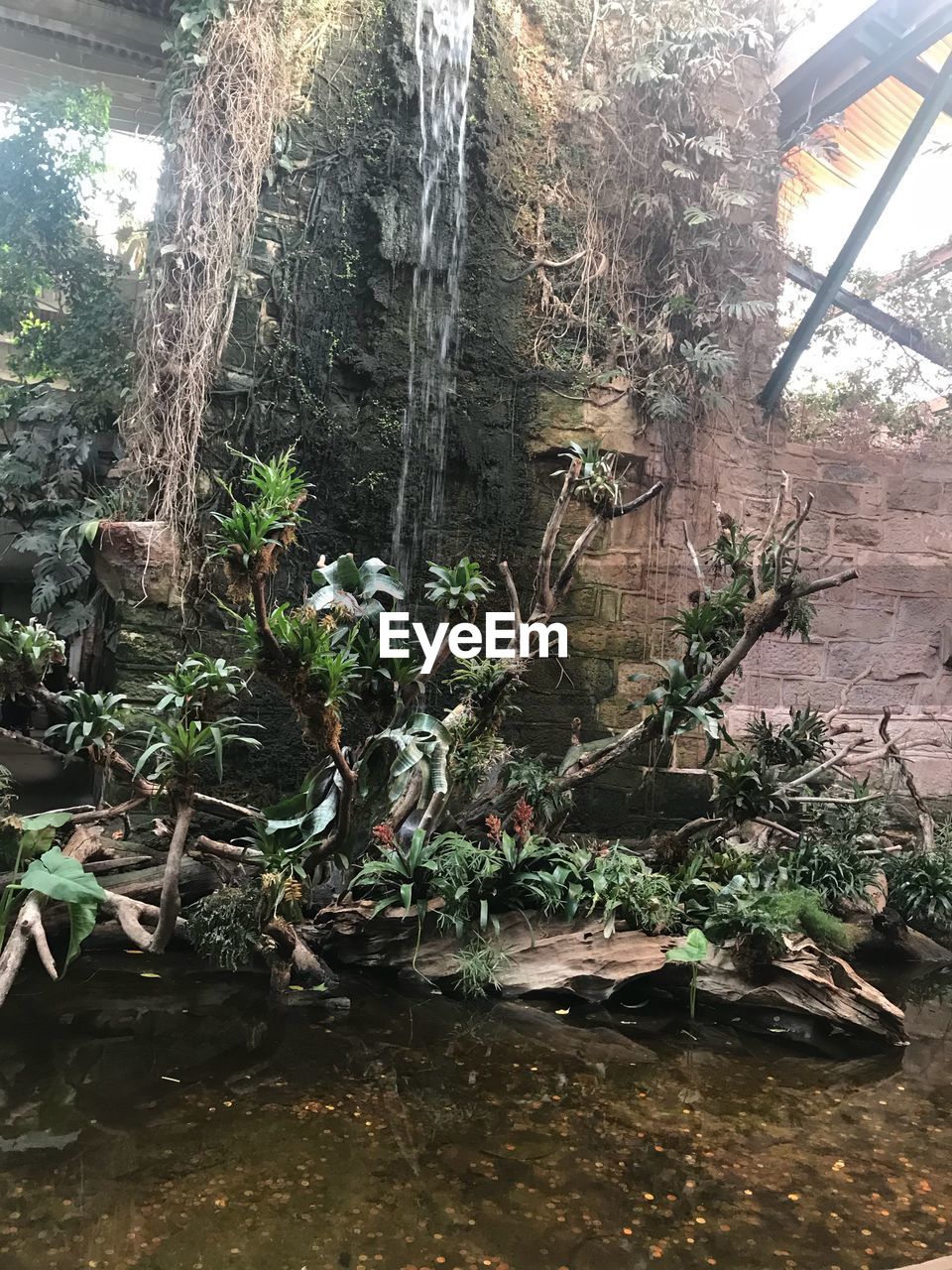 BIRD PERCHING ON PLANTS BY TREE