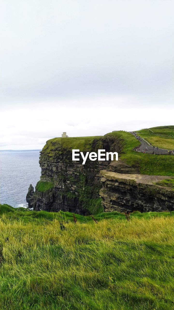 Scenic view of grassy field by sea against sky