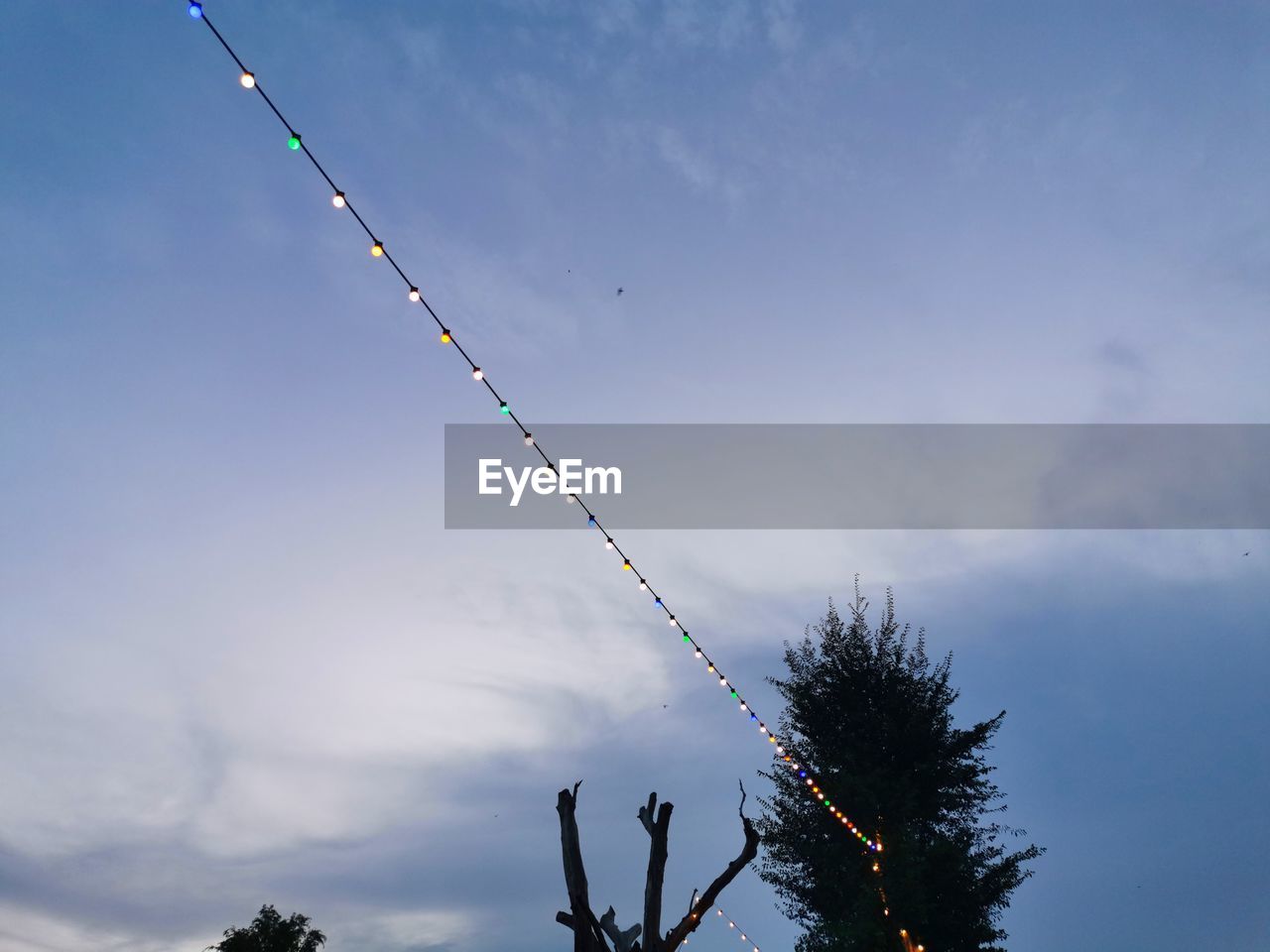 LOW ANGLE VIEW OF SILHOUETTE TREES AGAINST SKY