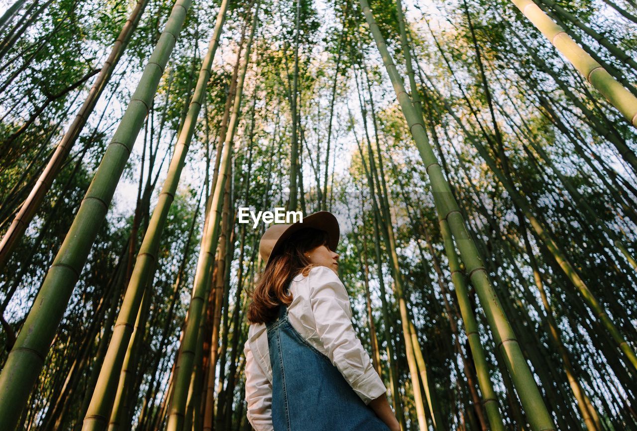 Low angle view of woman looking at bamboo