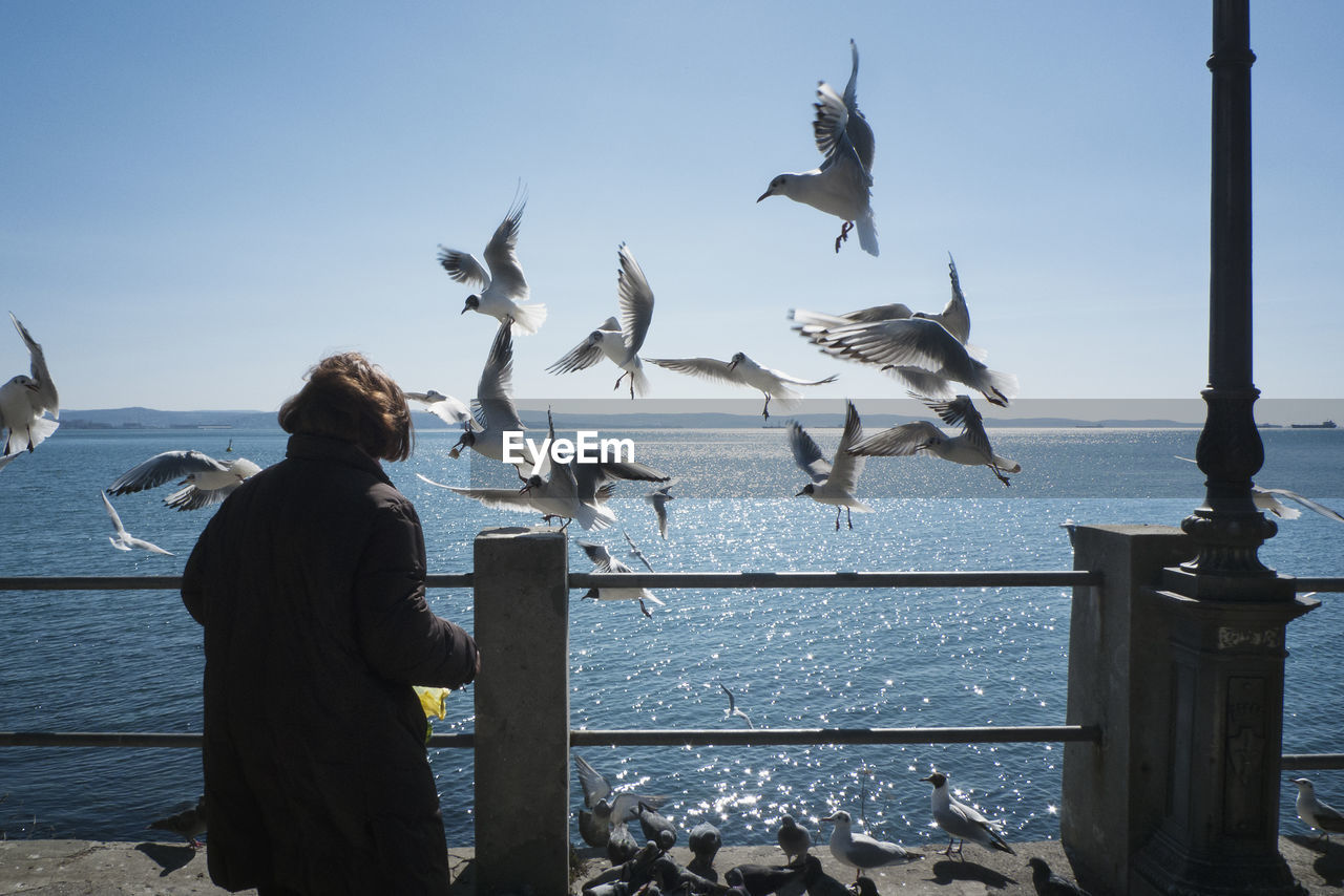 FLOCK OF SEAGULLS BY SEA AGAINST SKY