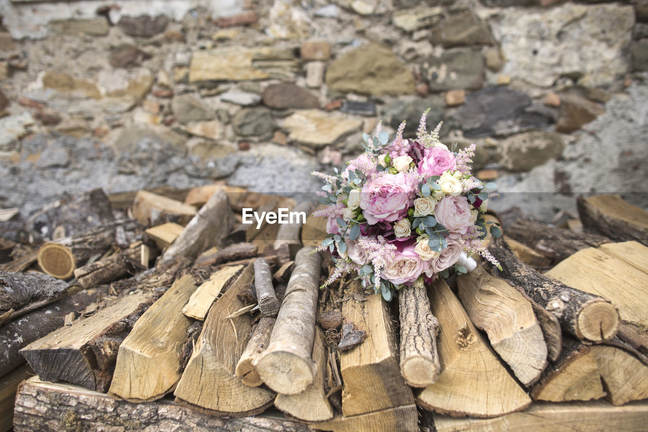 HIGH ANGLE VIEW OF PINK FLOWERS ON ROCK