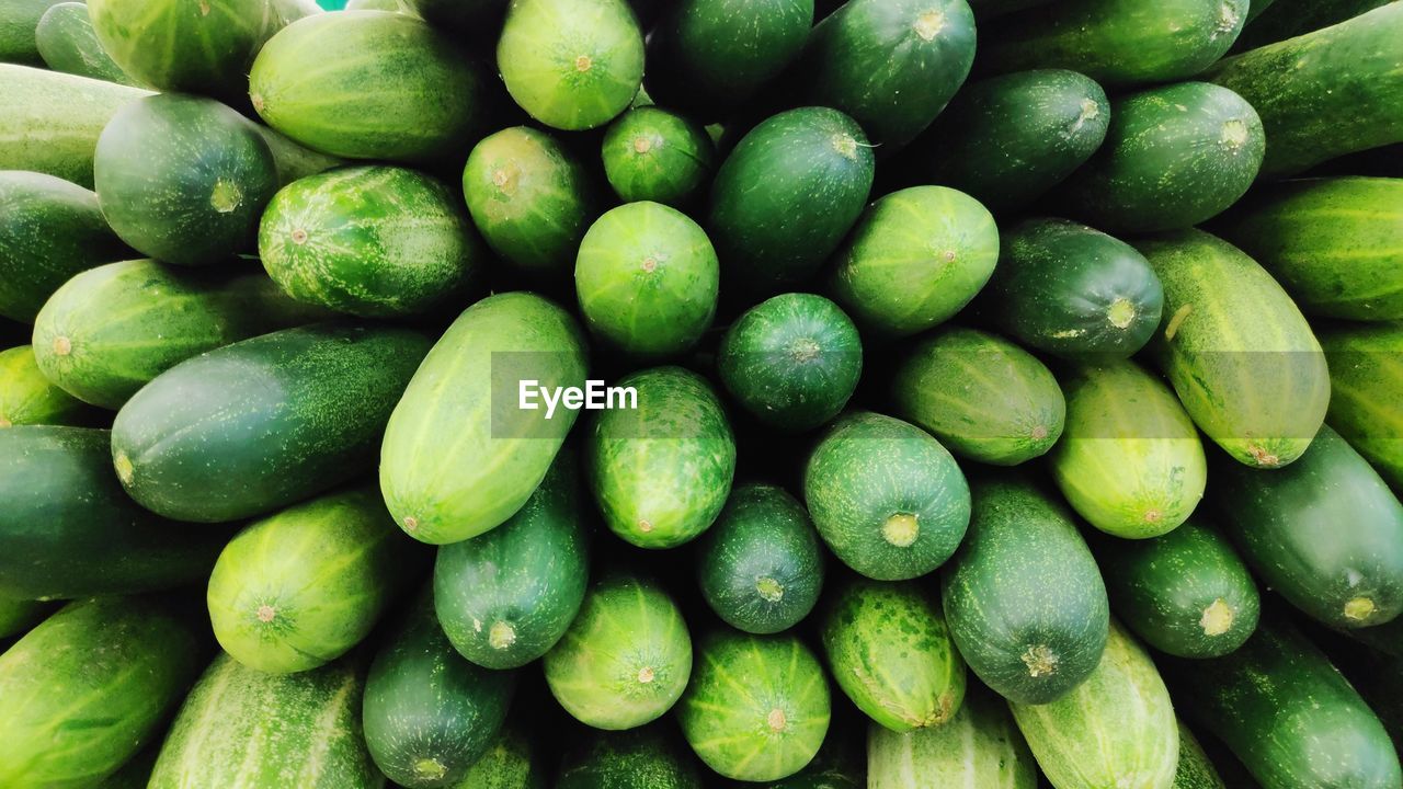 FULL FRAME SHOT OF FRESH GREEN FRUITS