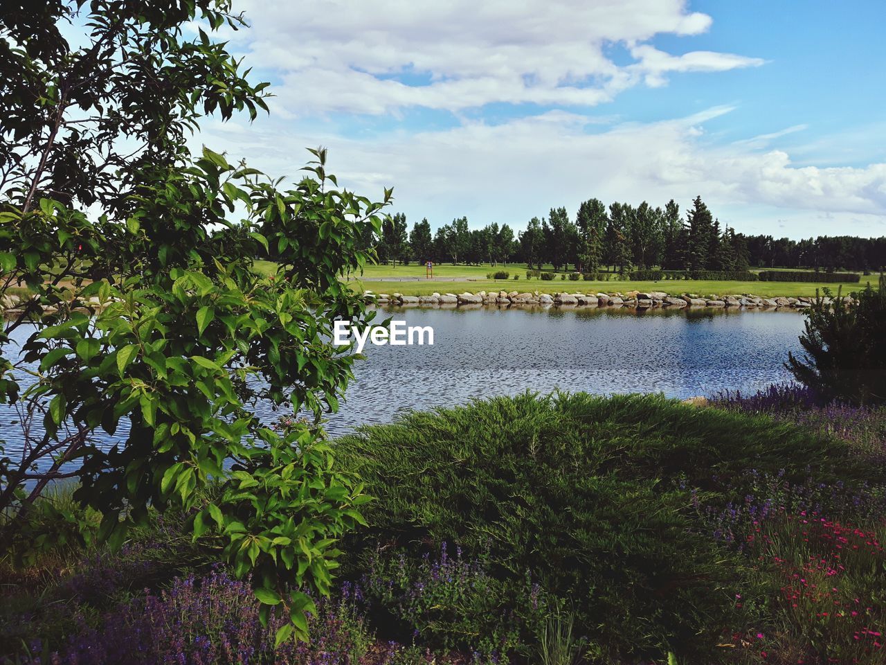 SCENIC VIEW OF LAKE AMIDST TREES AGAINST SKY