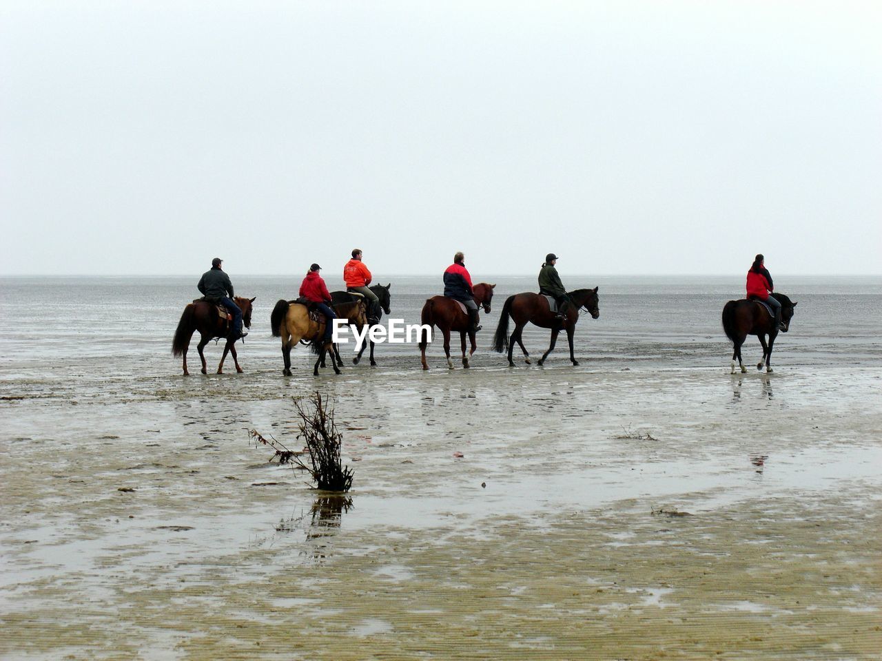 MEN RIDING HORSES ON BEACH