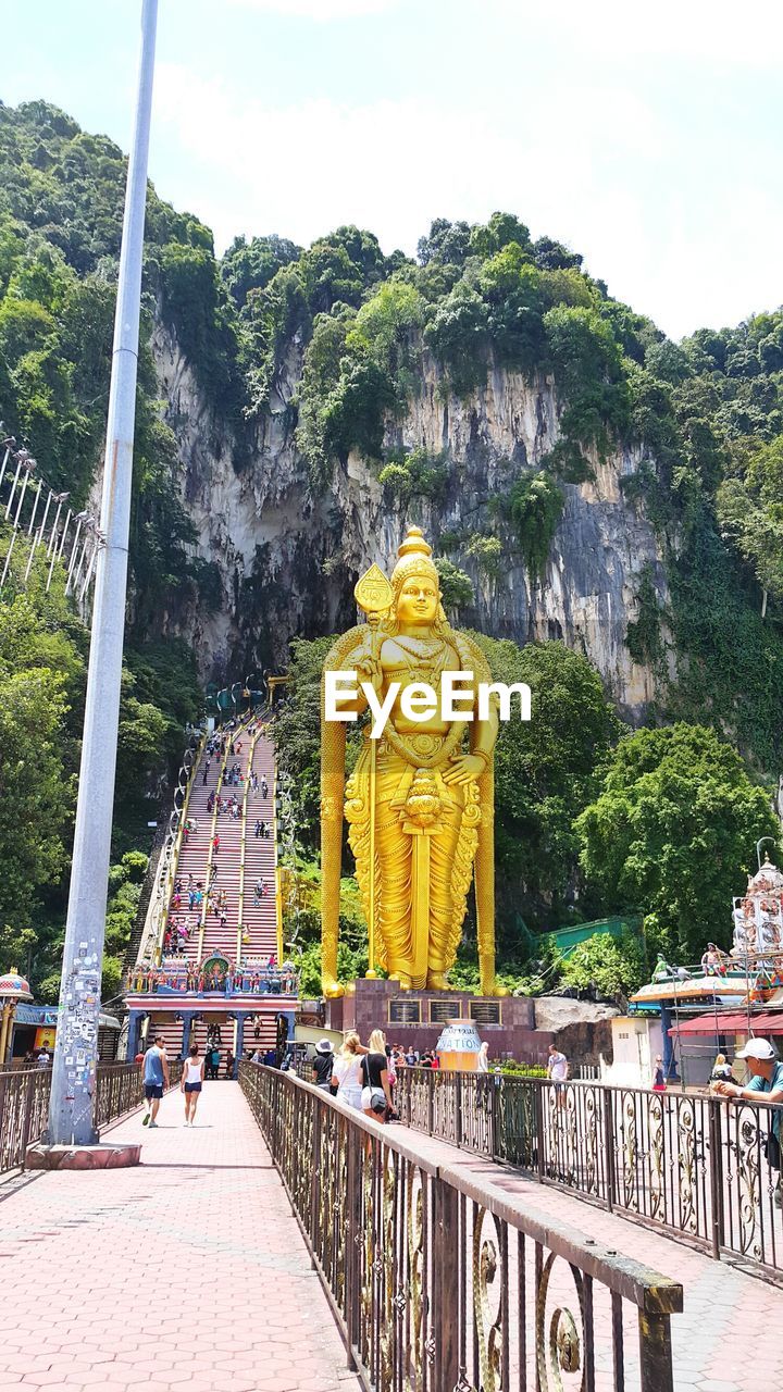 TREES IN TEMPLE