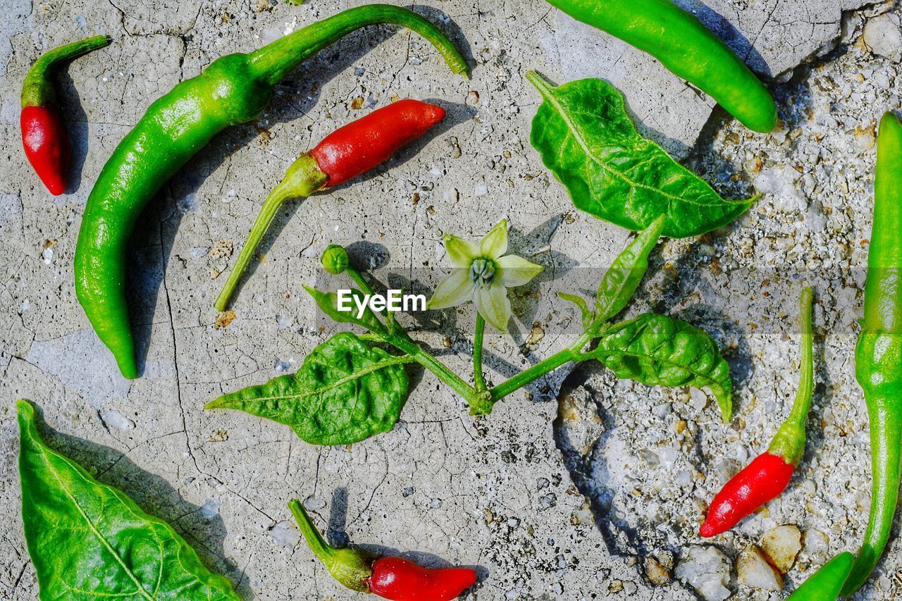 High angle view of red chili peppers on leaf.