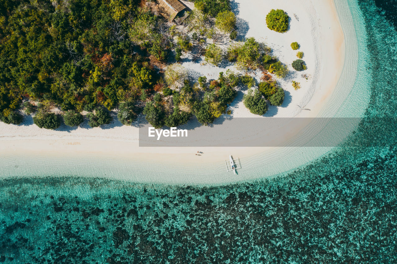 Aerial view of sea against trees