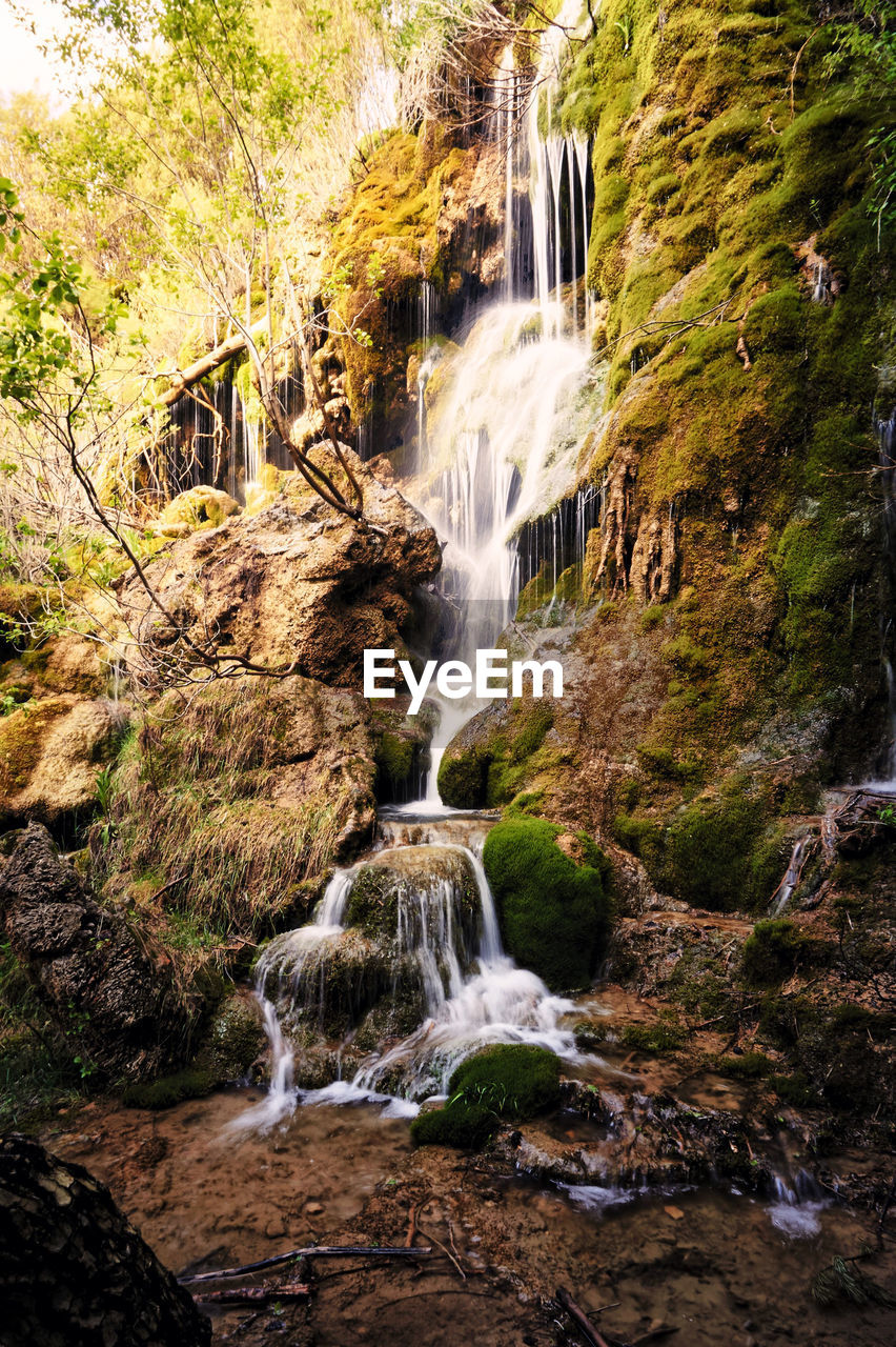 Scenic view of waterfall in forest