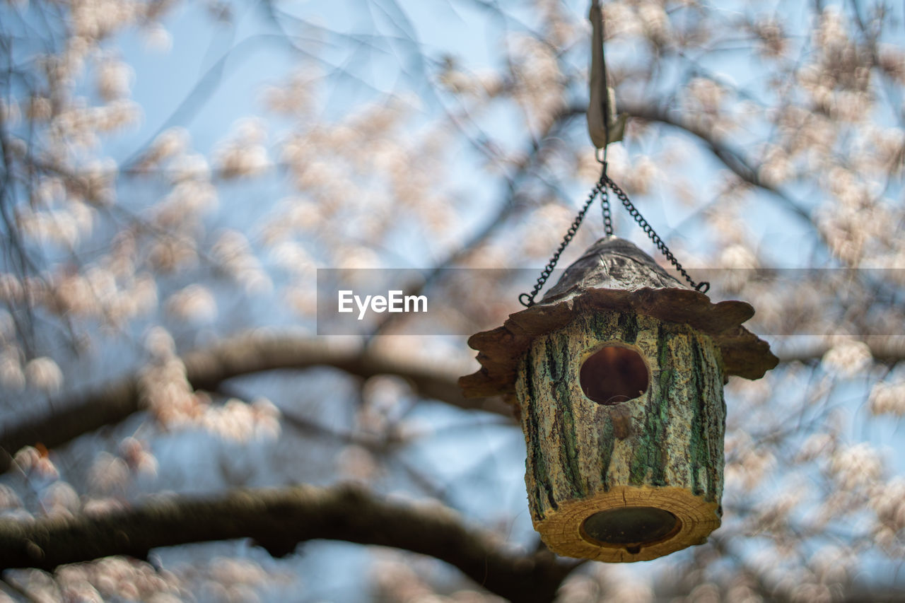 Bird house hanging from a tree