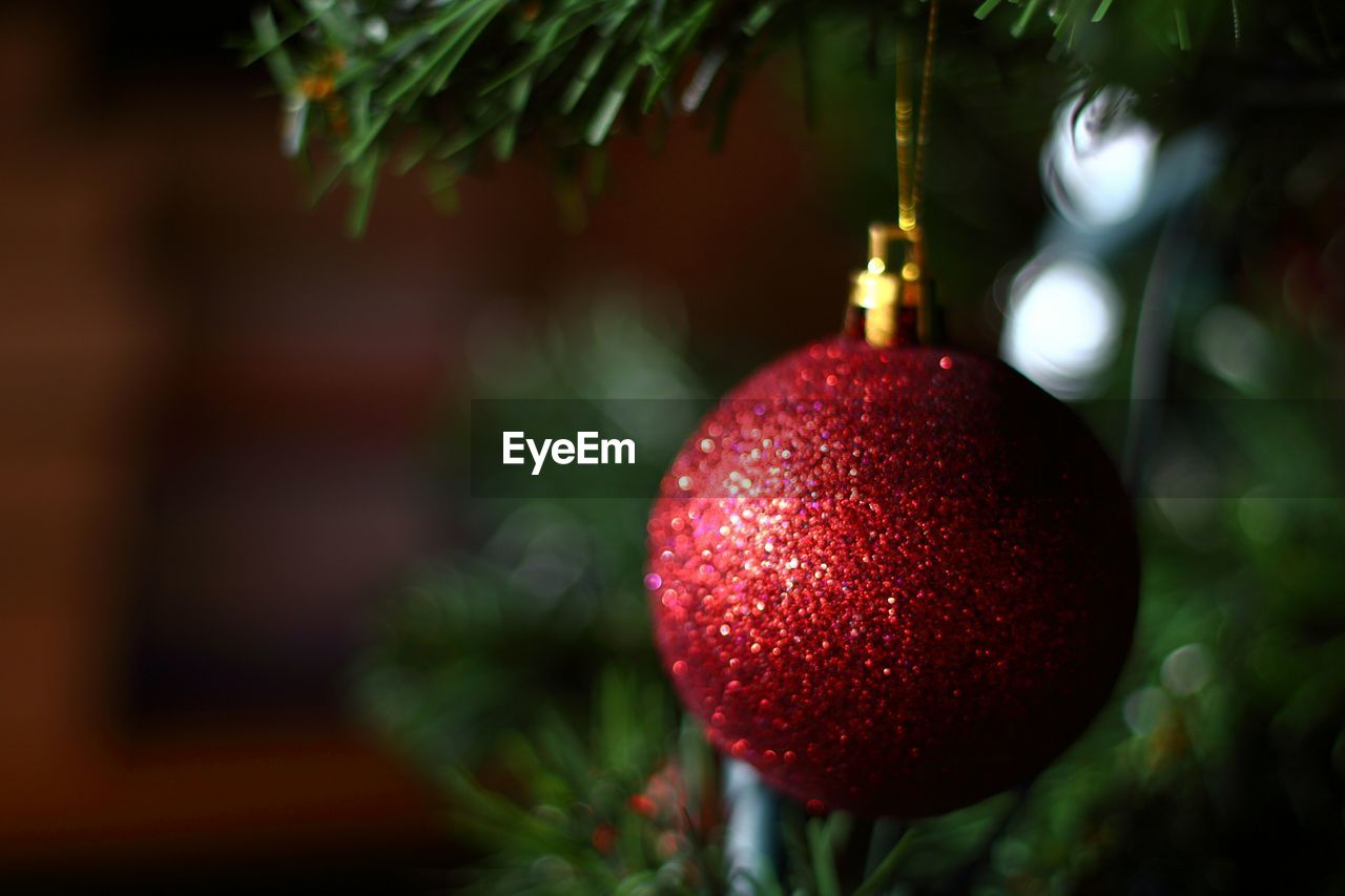 Close-up of christmas ornament hanging on tree