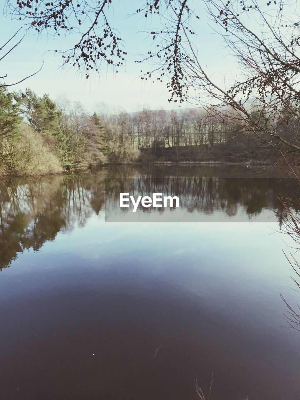 REFLECTION OF TREES IN LAKE