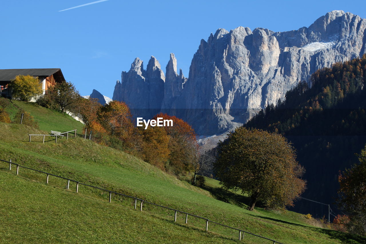 PANORAMIC VIEW OF FIELD AGAINST SKY