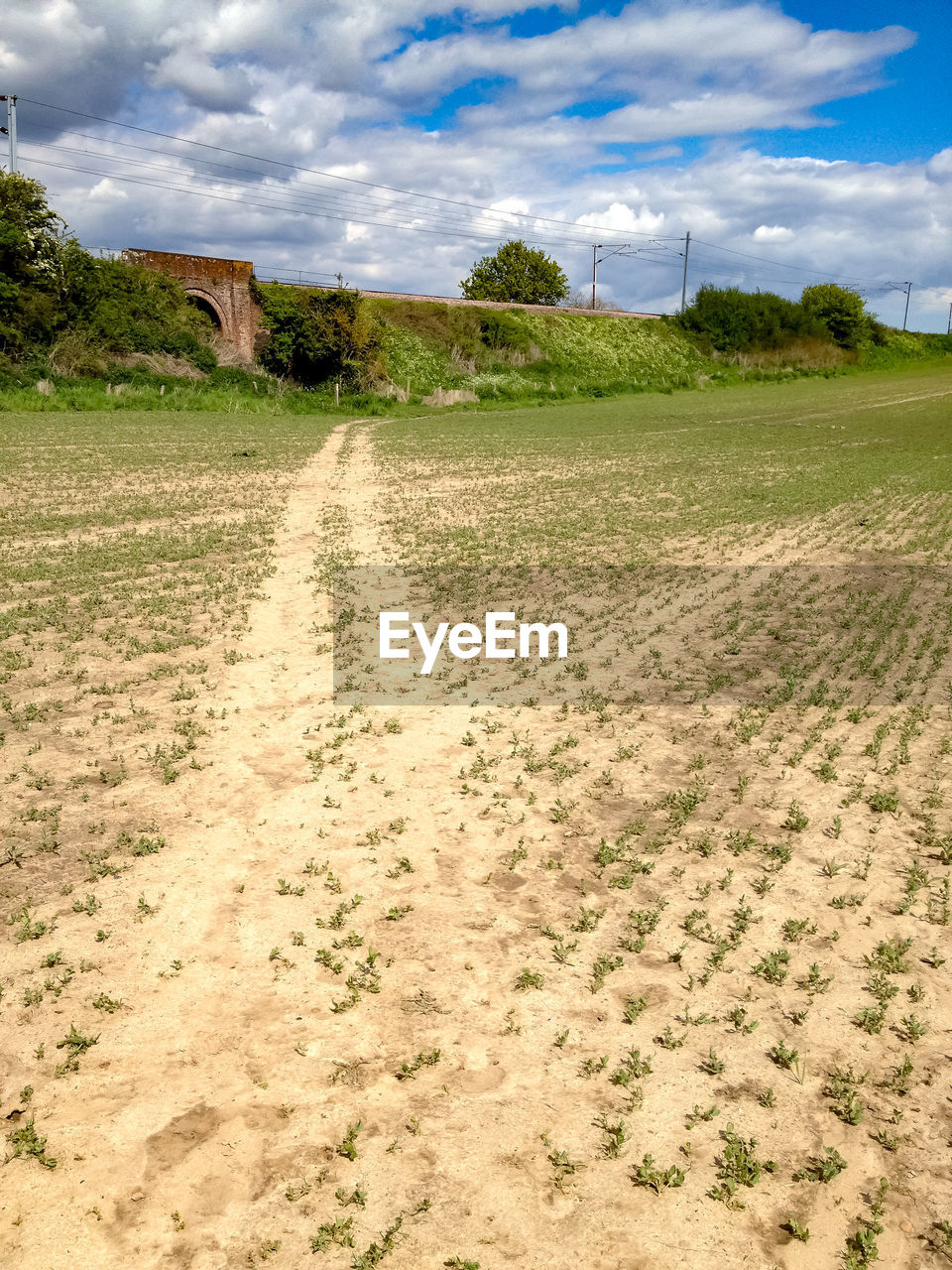 FIELD AGAINST SKY