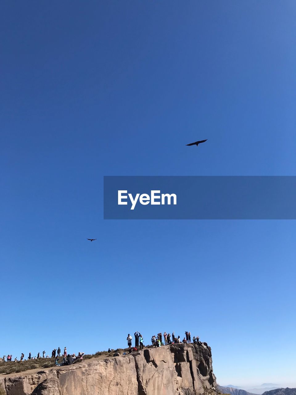 LOW ANGLE VIEW OF AIRPLANE FLYING IN SKY