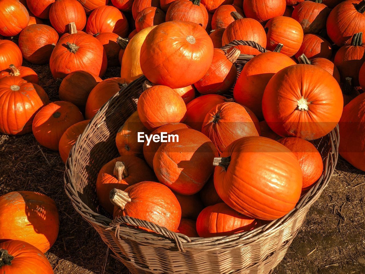 Full frame shot of pumpkins for sale in market