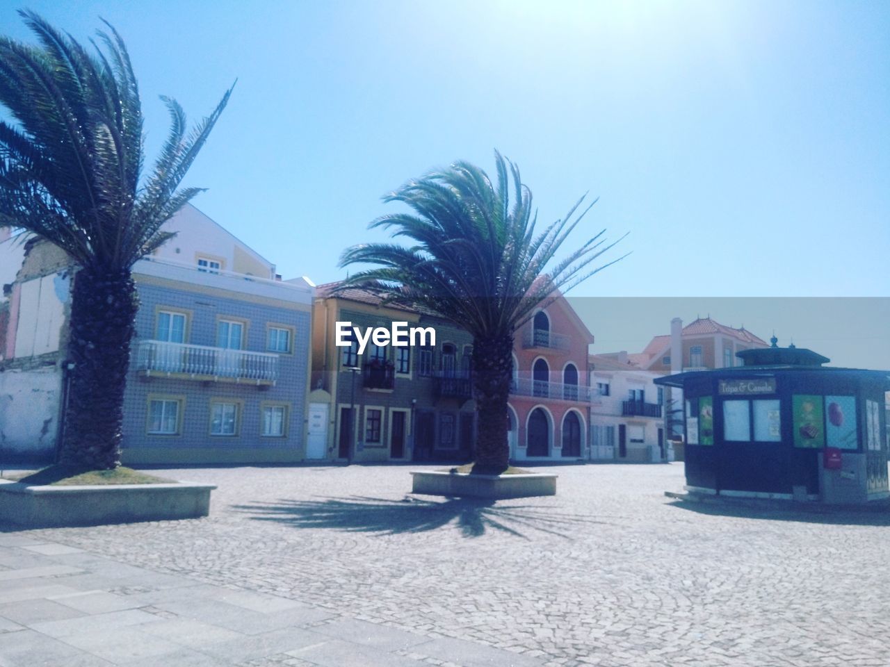 HOUSES BY PALM TREES AGAINST SKY