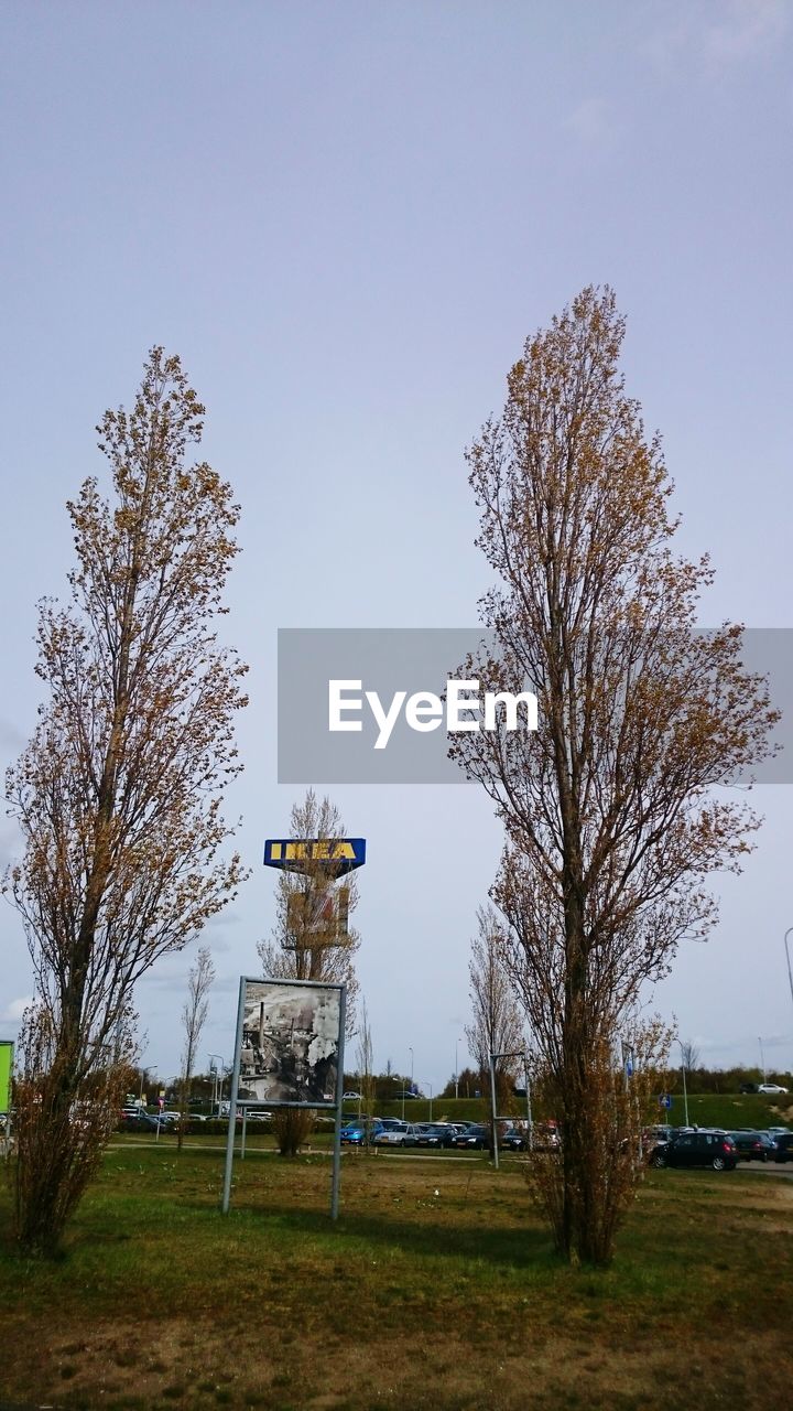 TREES ON FIELD AGAINST SKY