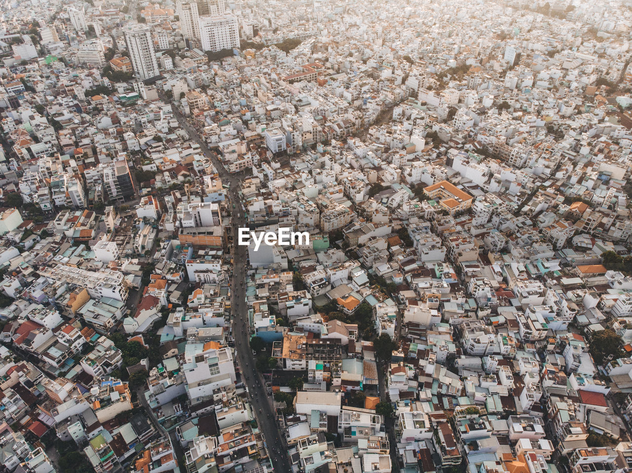 High angle view of tree and buildings in town