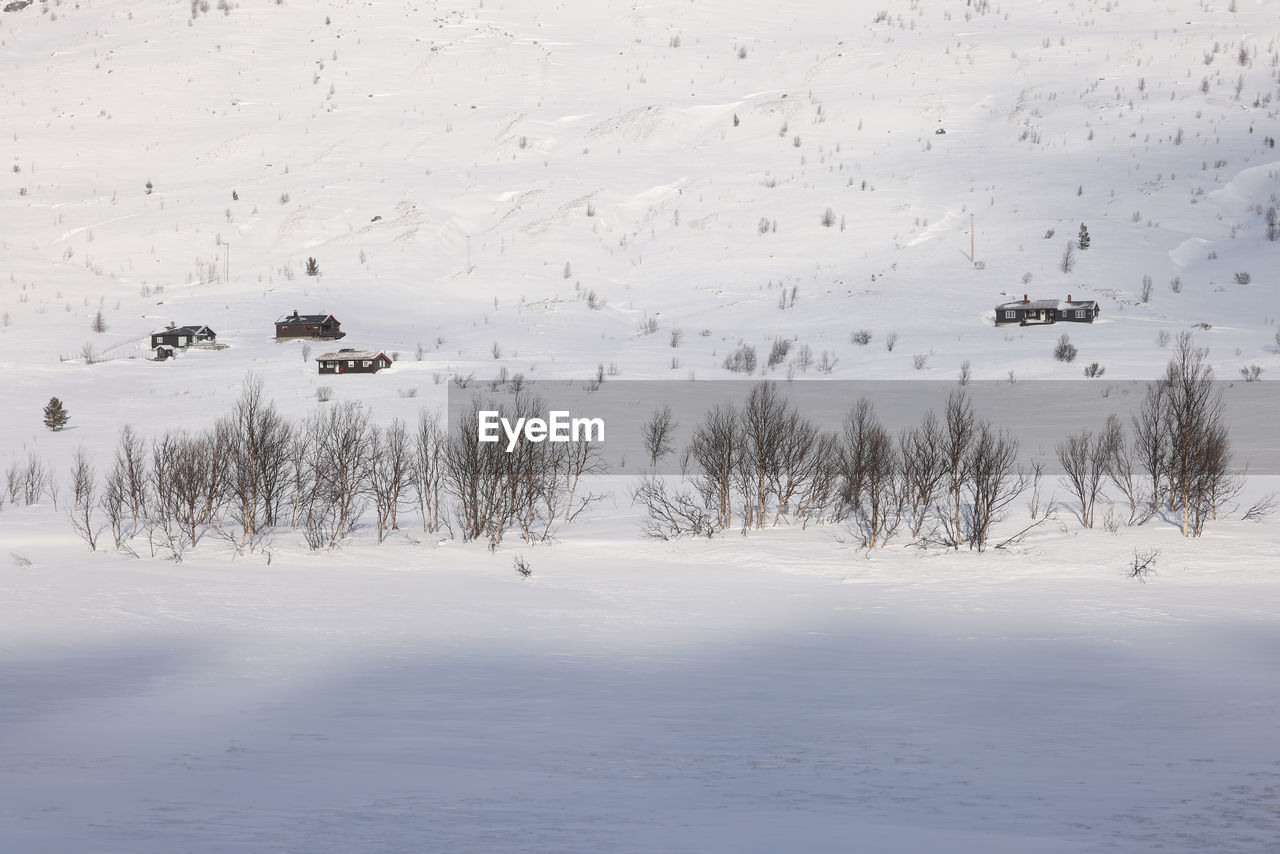 scenic view of snow