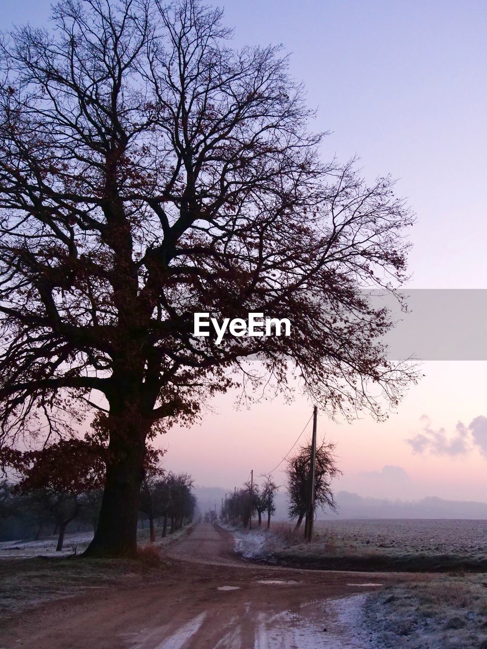 SILHOUETTE BARE TREES BY ROAD AGAINST SKY DURING SUNSET