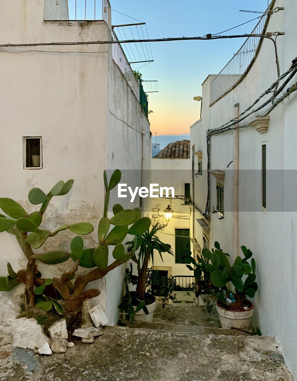 Evening in ostuni 