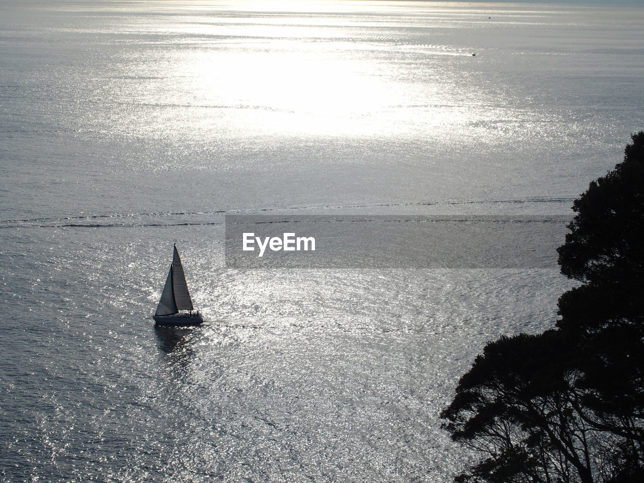 HIGH ANGLE VIEW OF SAILBOATS IN SEA