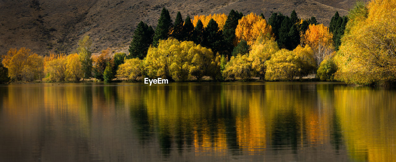 SCENIC VIEW OF LAKE IN FOREST