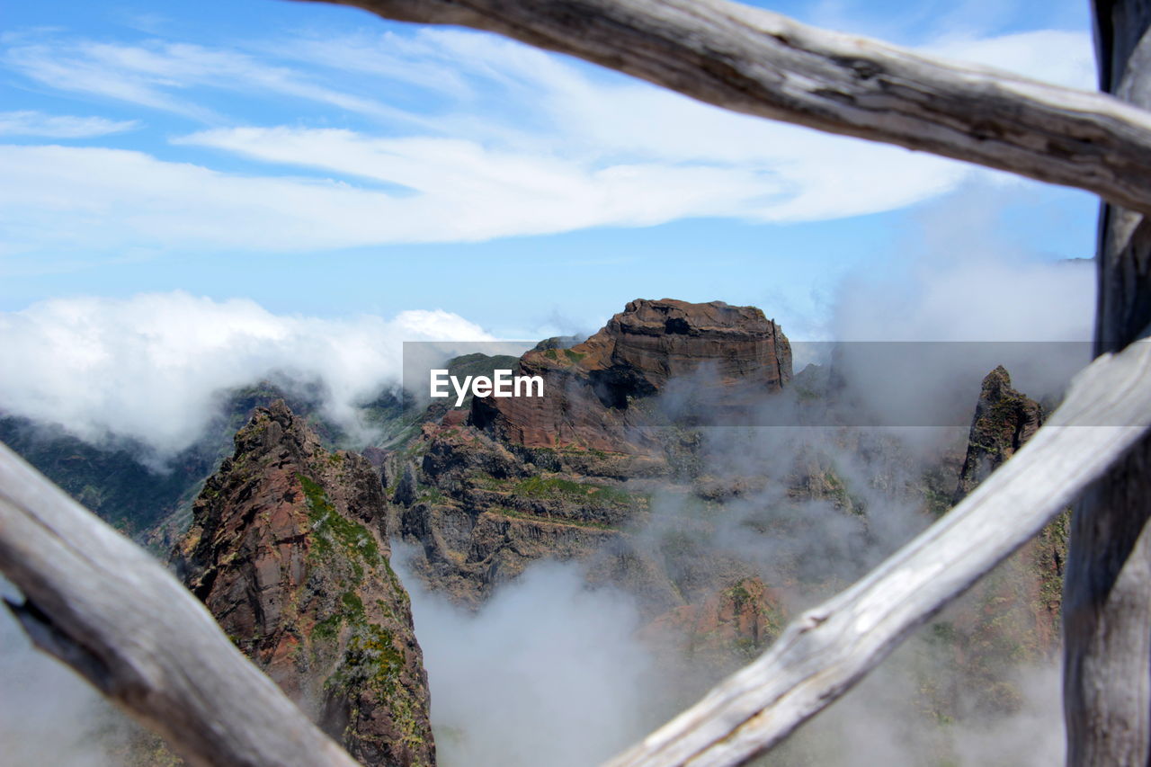 PANORAMIC VIEW OF TREES ON LANDSCAPE AGAINST SKY