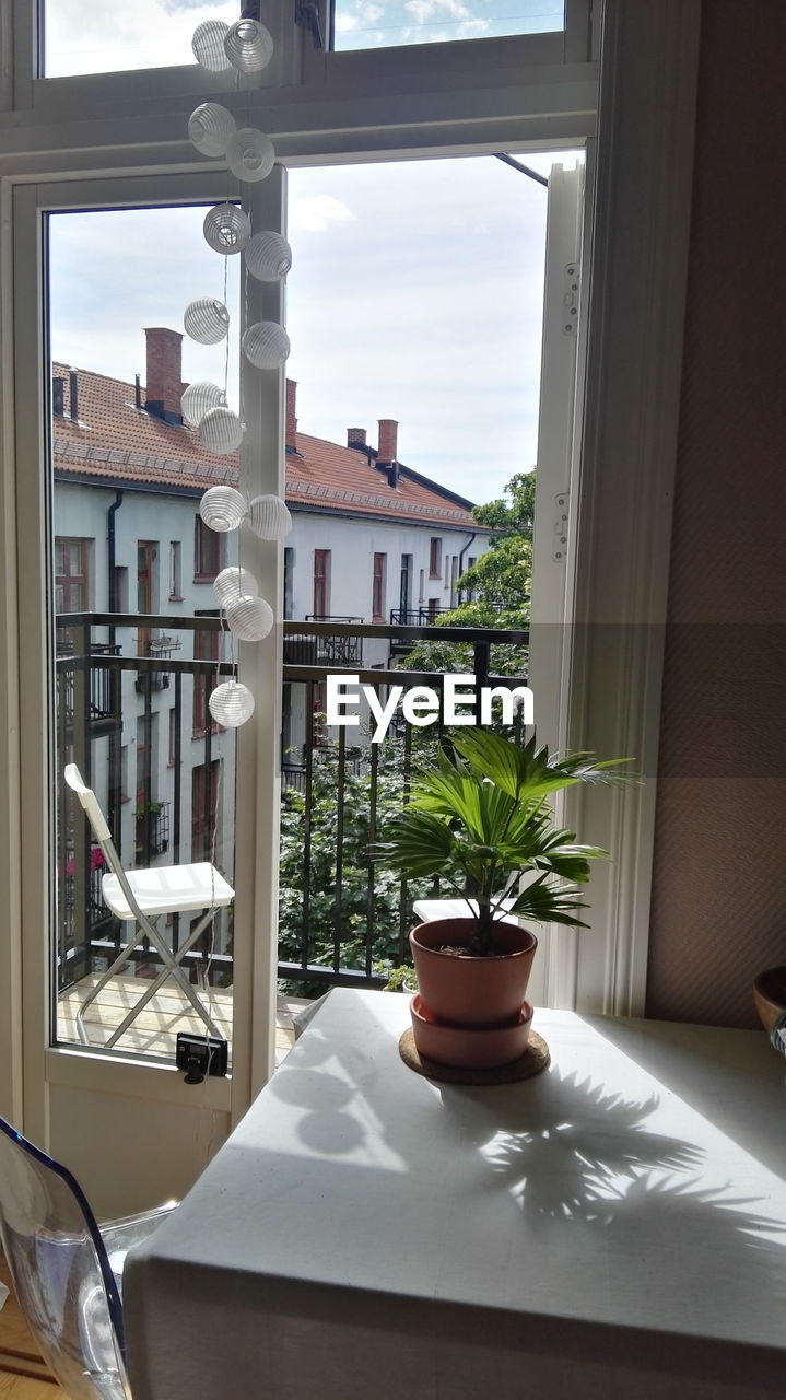 TABLE AND WINDOW IN CAFE