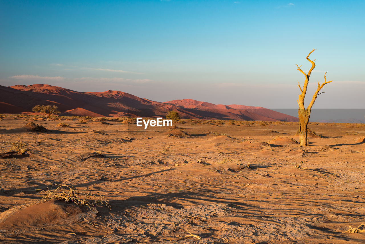 Scenic view of desert against sky