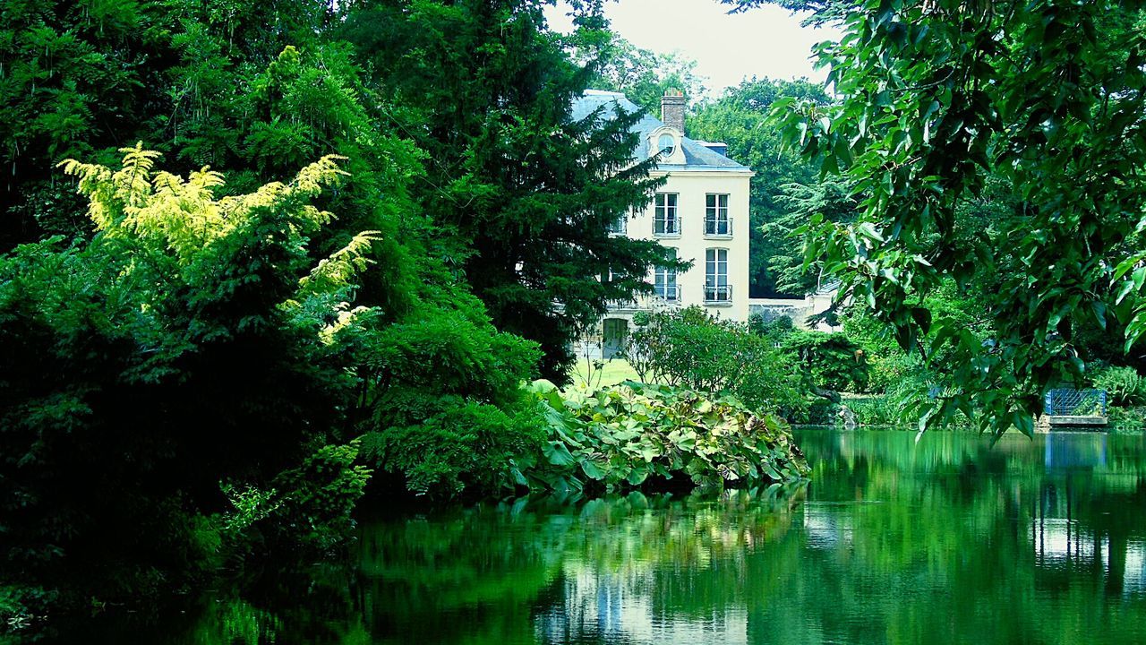 TREES REFLECTING IN WATER