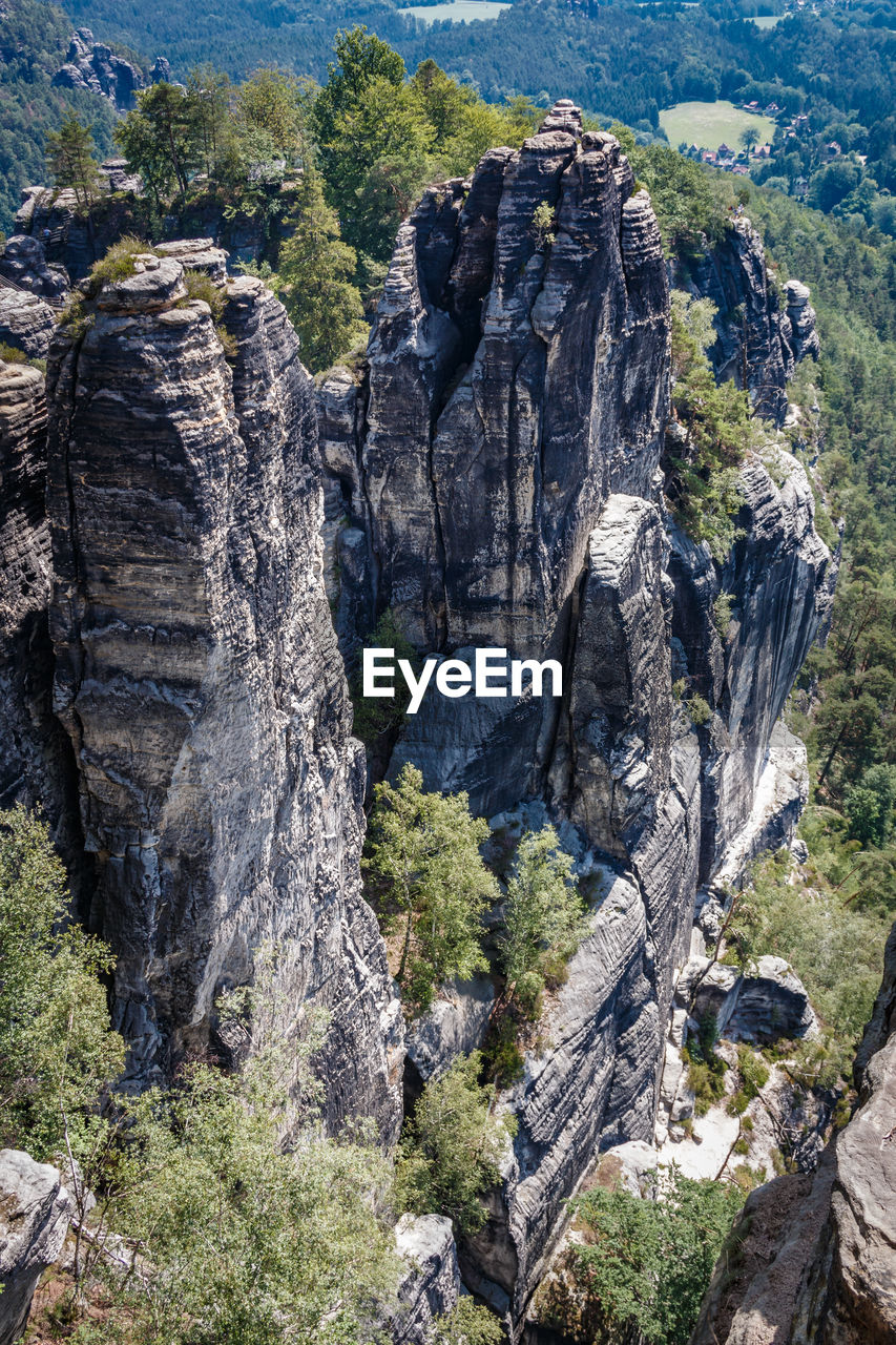 VIEW OF TREES ON ROCK FORMATION