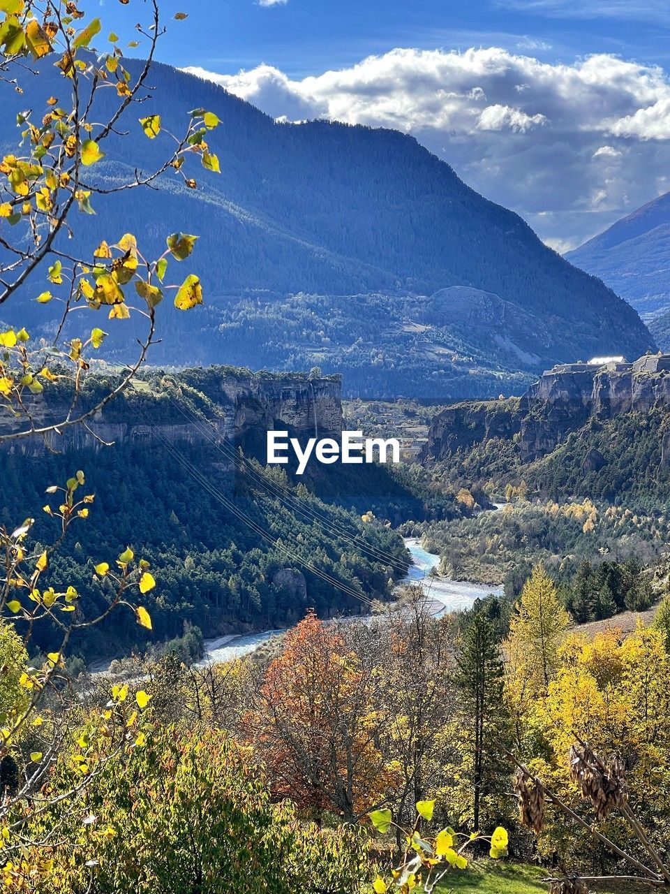 mountain, plant, beauty in nature, scenics - nature, nature, tree, environment, landscape, autumn, flower, mountain range, sky, land, no people, tranquility, wilderness, tranquil scene, meadow, flowering plant, non-urban scene, cloud, leaf, pinaceae, travel destinations, outdoors, forest, day, coniferous tree, growth, travel, yellow, pine tree, idyllic, valley, sunlight, ridge, pine woodland, springtime, rural scene, tourism, high angle view, blue