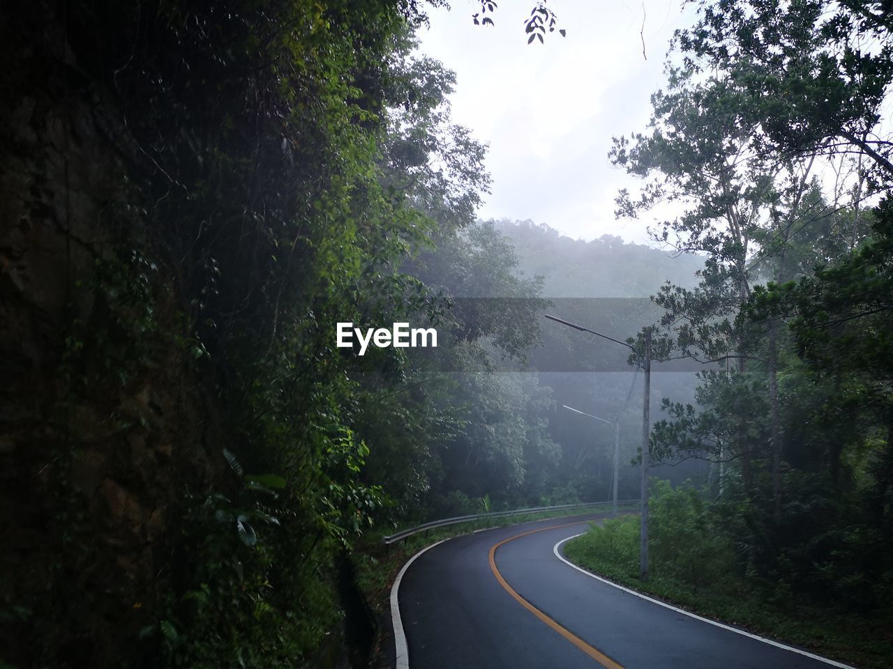 Road amidst trees against sky