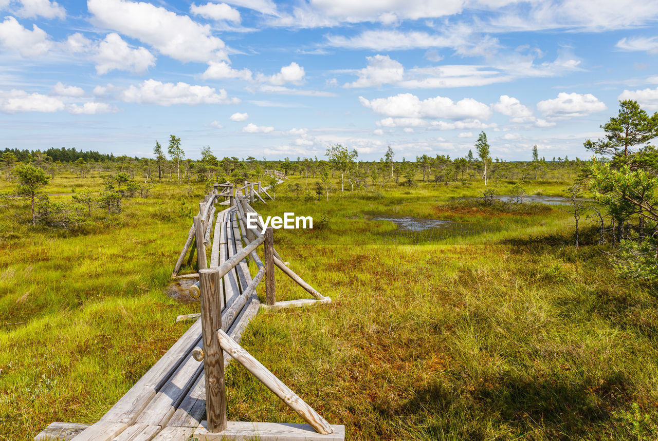The wooden walking trail goes through small ponds in the swamp. the great kemeri bog
