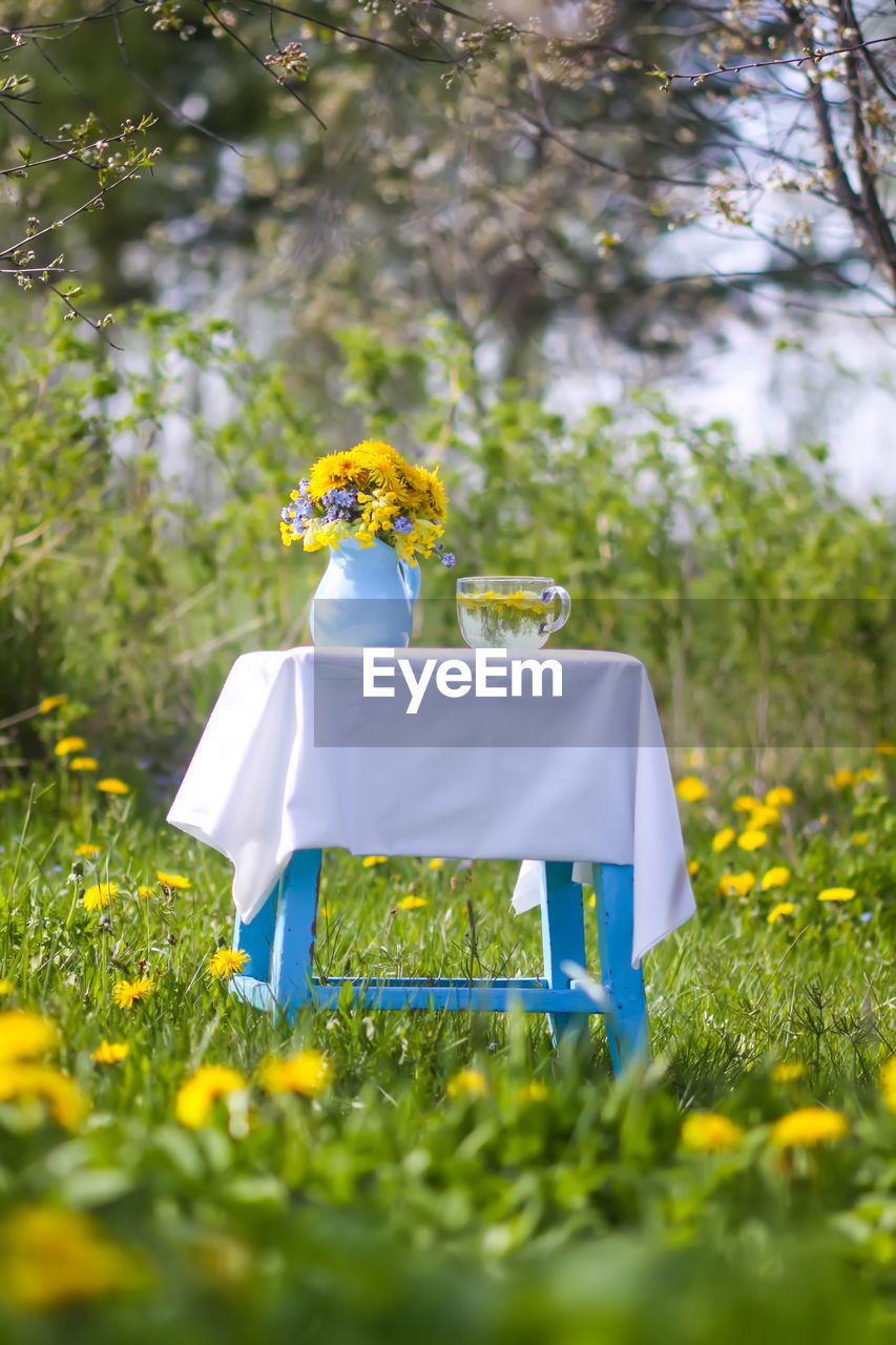 yellow, plant, flower, green, flowering plant, nature, grass, meadow, freshness, sunlight, selective focus, celebration, summer, outdoors, day, tree, no people, beauty in nature, plain, field, food and drink, springtime, wedding, event, emotion, land