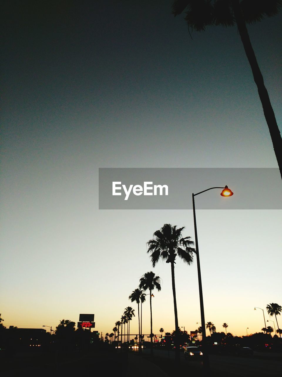 Low angle view of silhouette palm trees against clear sky