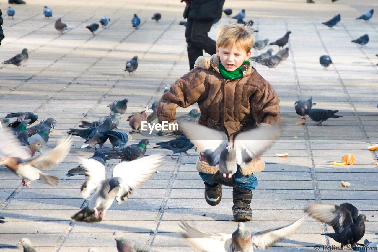 FULL LENGTH OF BOY FLYING BIRDS IN THE SQUARE