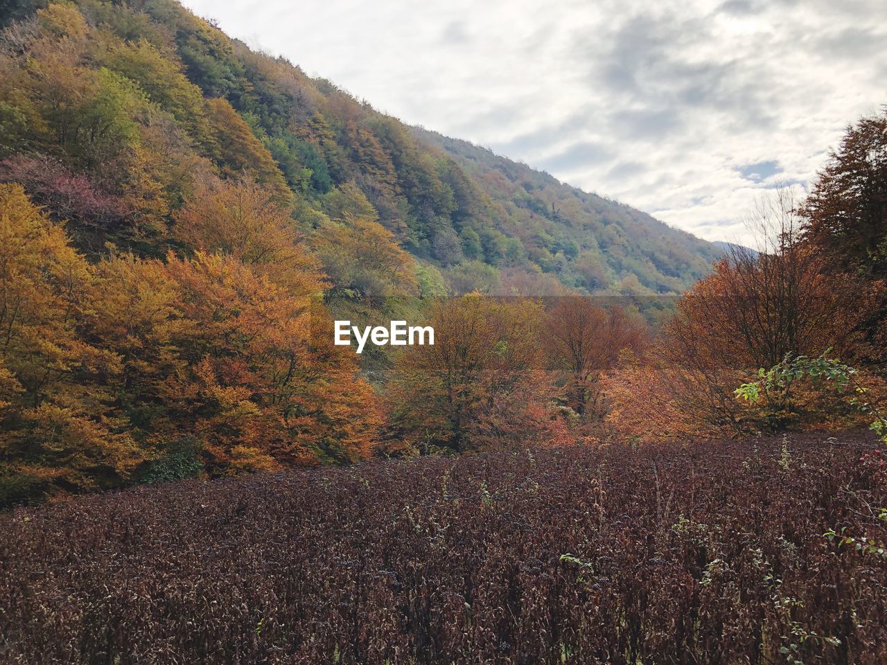 Scenic view of mountains against sky during autumn