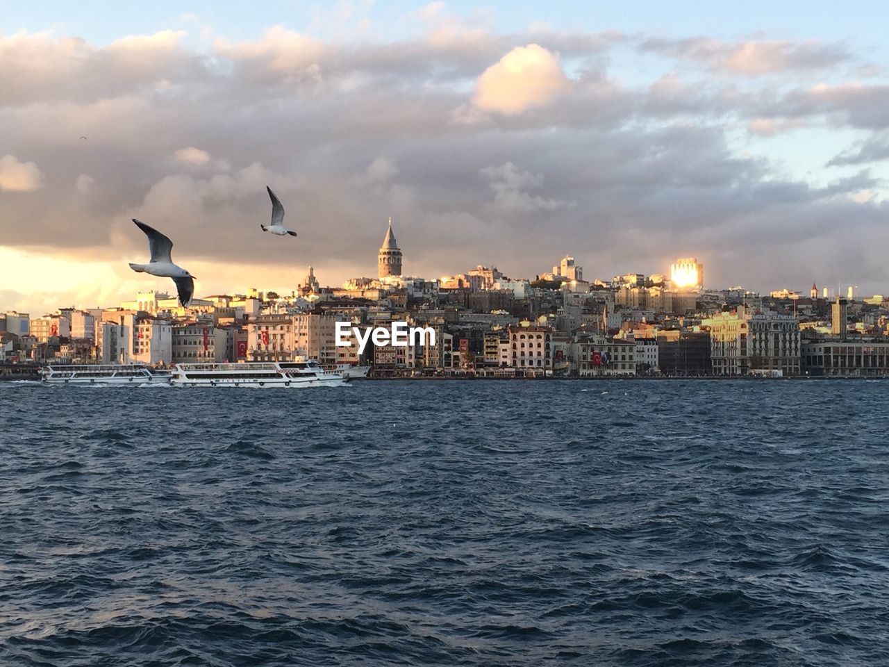 Seagulls flying above river against cloudy sky at sunset