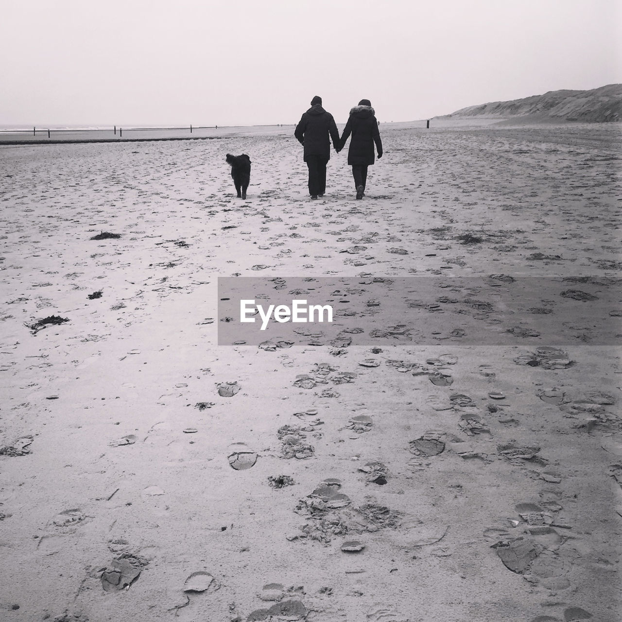 Rear view of silhouette people walking on beach