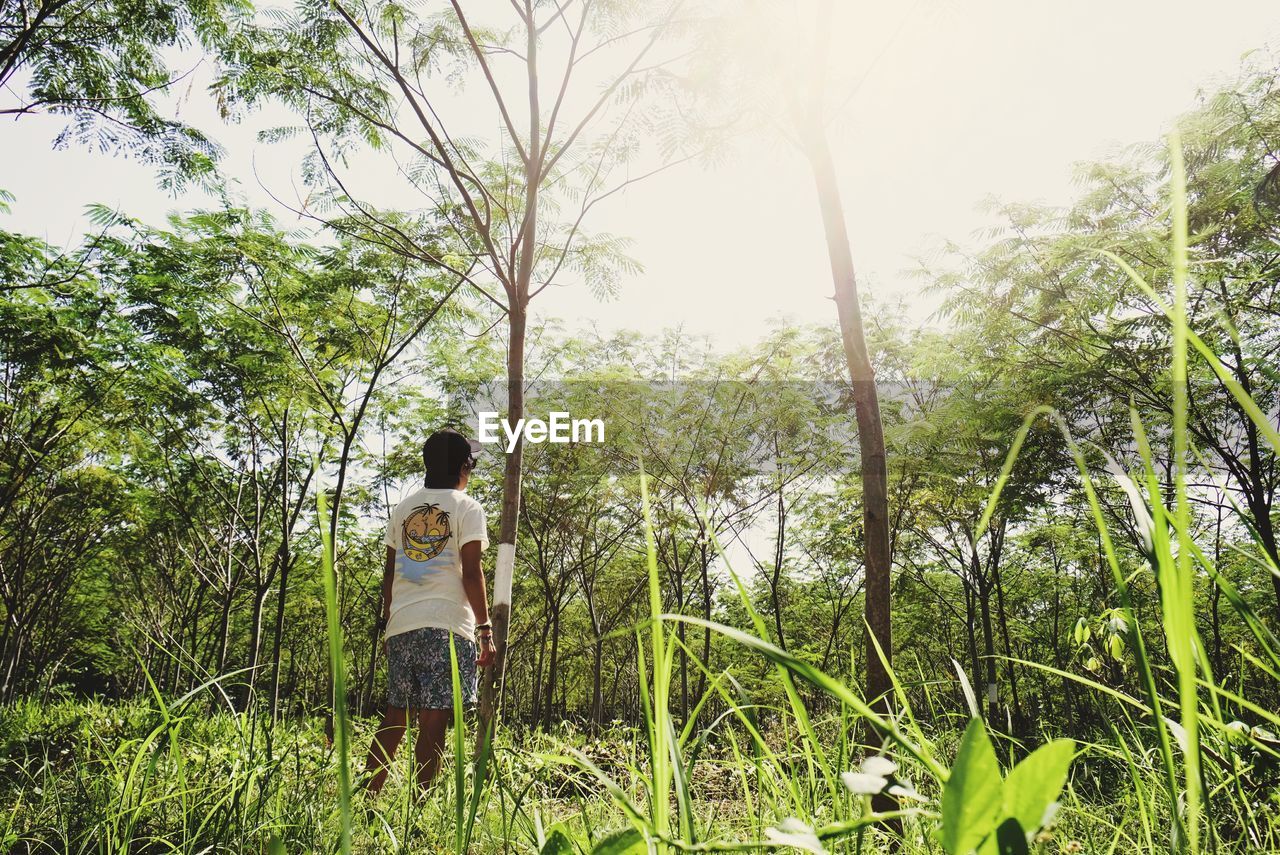 REAR VIEW OF WOMAN STANDING BY PLANTS IN FOREST